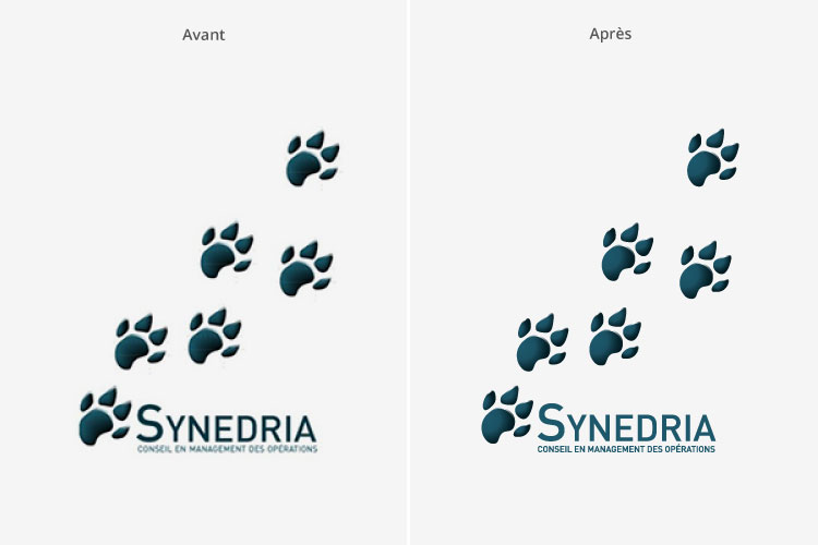 Reproduction logo pour l'entreprise Synedria